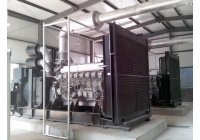 发电机组的燃油系统，冷却系统的维护和保养要求
